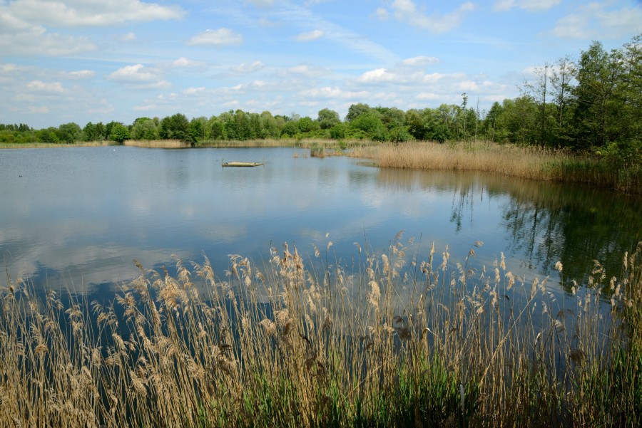 Pourquoi le Morvan est-il une destination incontournable pour le tourisme ?