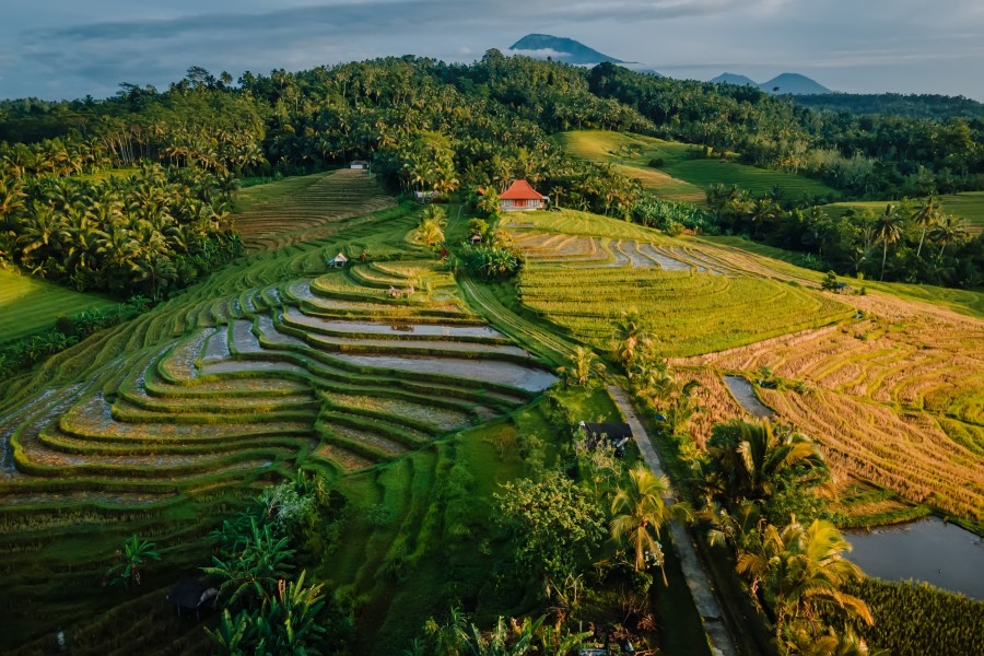 Où se trouve Bali ? Découvrez l'emplacement de ce paradis tropical