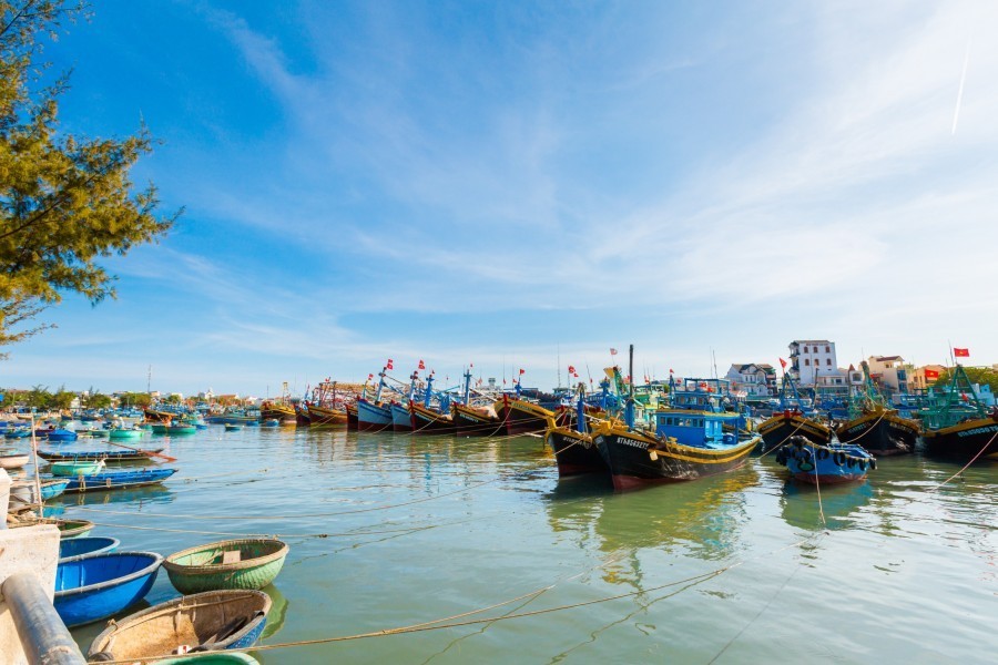 Quand partir au Vietnam du Sud ?