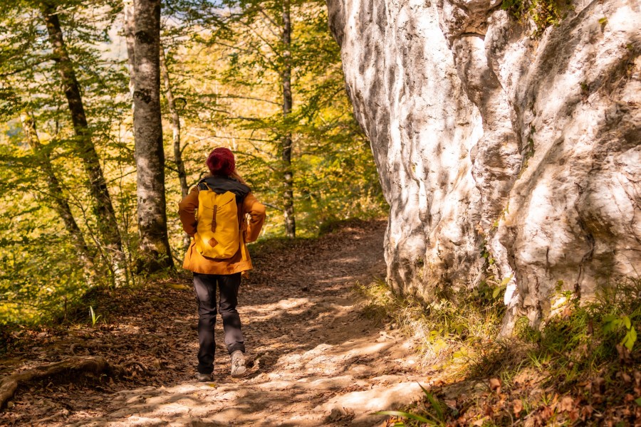 Quelles sont les activités à faire lors d’un voyage naturaliste ?