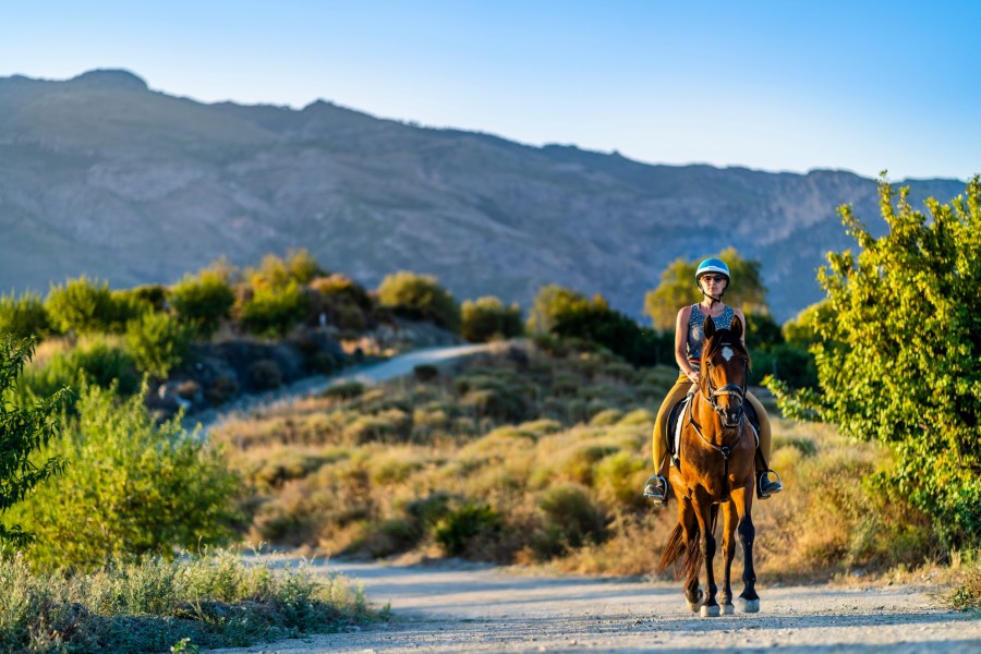 Quelles sont les activités à faire lors d'un week-end en Camargue ?