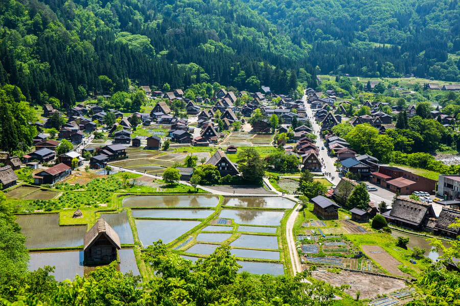 Quels sont les meilleurs itinéraires pour un road trip au Japon?